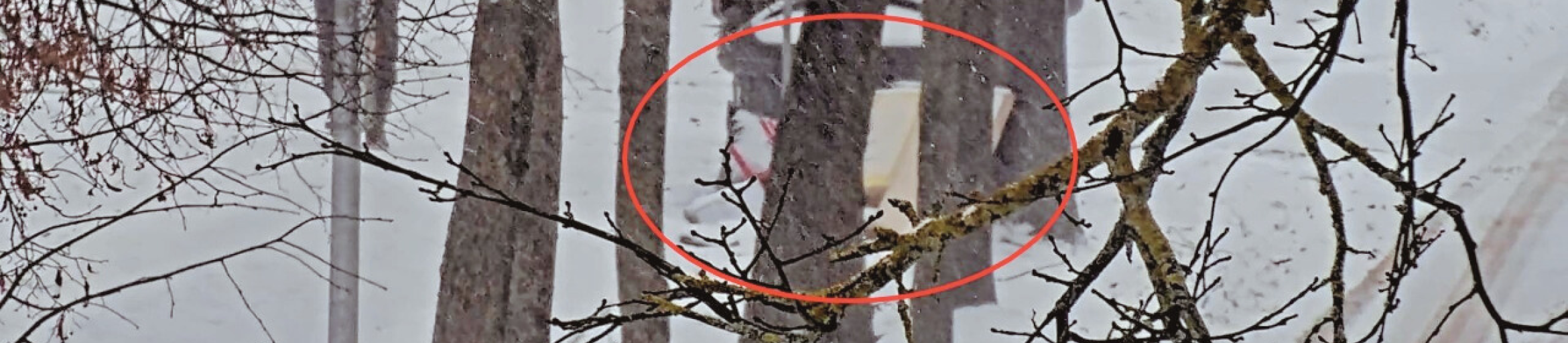 Šiaulių miesto savivaldybė skelbia 2026 m. sausio mėnesio netvarkingiausias komunalinių atliekų konteinerių aikšteles