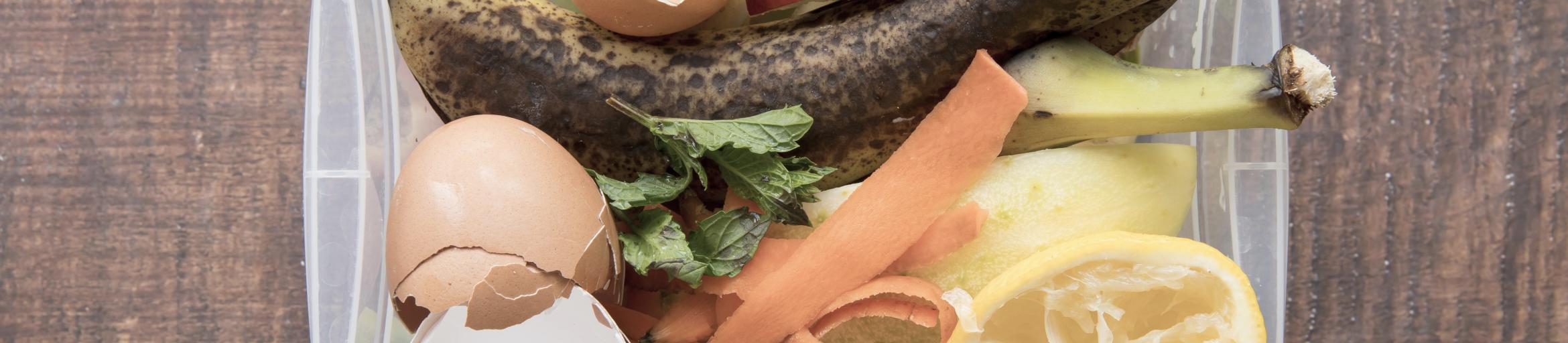 Žaliųjų atliekų konteineriai tuštinami visus metus: augalinės kilmės maisto atliekas rūšiuokite ir žiemą