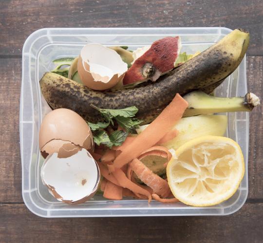 Žaliųjų atliekų konteineriai tuštinami visus metus: augalinės kilmės maisto atliekas rūšiuokite ir žiemą