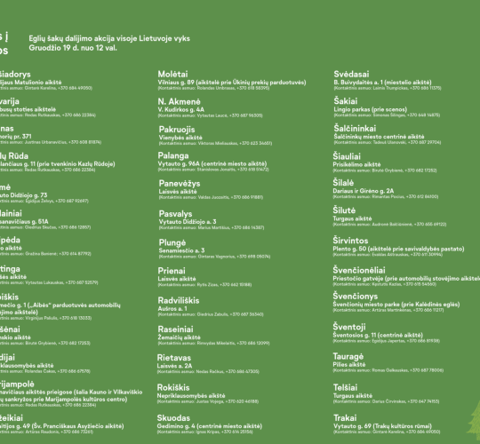 Kalėdų tradicija tęsiasi: miškininkai nemokamai dalins eglių ir pušų šakas