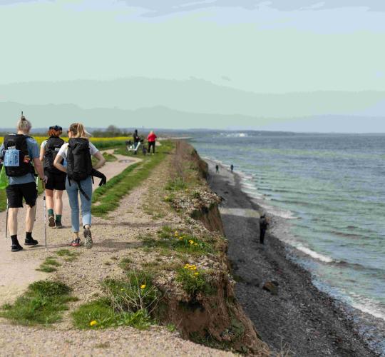 Svarbi žinia iš Baltijos jūros: pamatykite parodoje Kauno „Akropolyje“