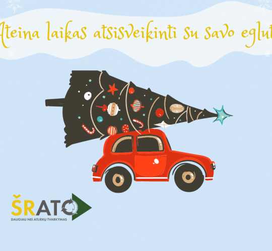 Paskelbtos vietos, kur gyventojai galės atvežti Kalėdines eglutes