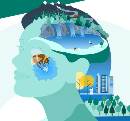 „Europos aplinka 2025“: Europos aplinkos būklė nėra gera, didžiausi iššūkiai - grėsmės gyvajai gamtai ir klimato kaitos poveikis