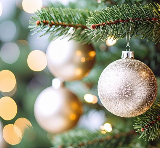 Mažiau atliekų per Kalėdas: misija – įmanoma