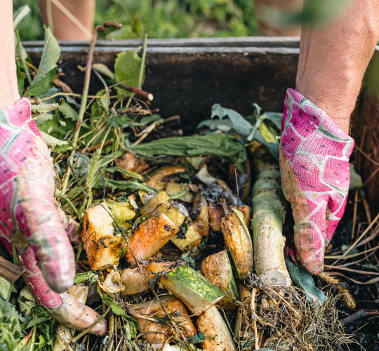 Aplinkosaugininkai pataria, kaip rudenį saugiai tvarkyti žaliąsias atliekas
