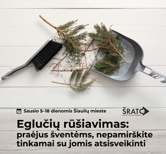 Eglučių rūšiavimas: praėjus šventėms, nepamirškite tinkamai su jomis atsisveikinti