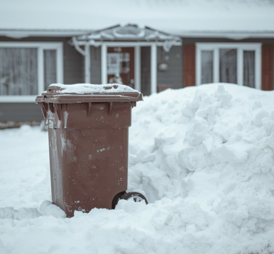 Dėl prišalusių atliekų individualūs žaliųjų atliekų konteineriai gali likti neištuštinti