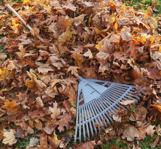 Rudens darbai: nepamirškime tinkamai tvarkyti žaliųjų atliekų