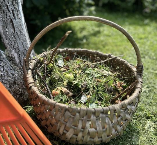 Rugpjūčio darbai: tinkamas žaliųjų atliekų tvarkymas