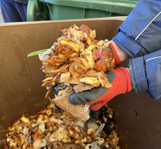 Minima Tarptautinė informavimo apie maisto švaistymą diena