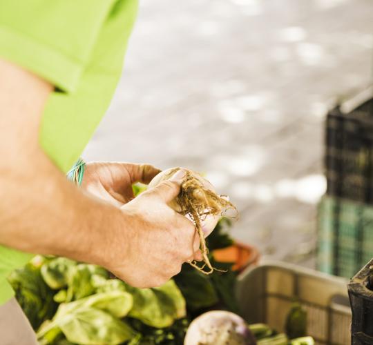 ŠRATC primena, kaip atsakingai rūšiuoti žaliąsias atliekas