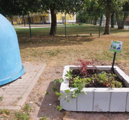 Atliekų konteinerių aikštelės sužaliavo gėlėmis